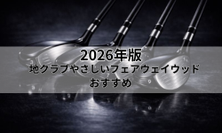 地クラブのやさしいフェアウェイウッド おすすめ6選